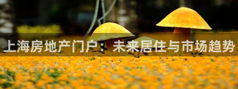 和记万佳官网：上海房地产门户：未来居住与市场趋势