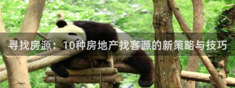 和记官网怡情娱乐：寻找房源：10种房地产找客源的新策略与技巧