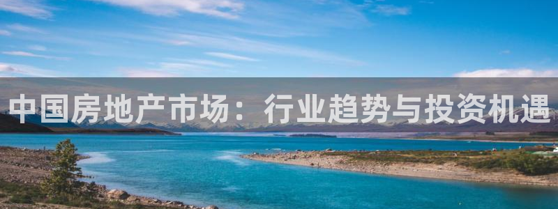 果博官网和记：中国房地产市场：行业趋势与投资机遇