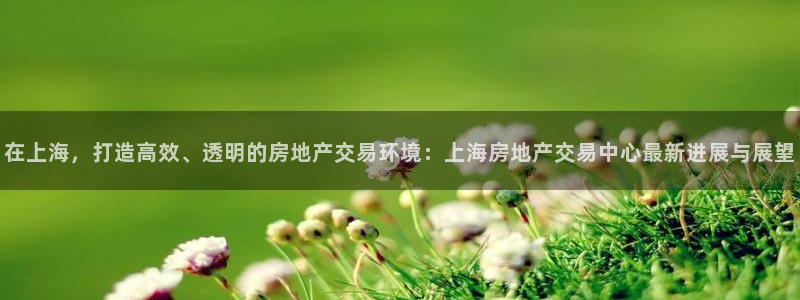 和记澳门官网：在上海，打造高效、透明的房地产交易环境：上海房