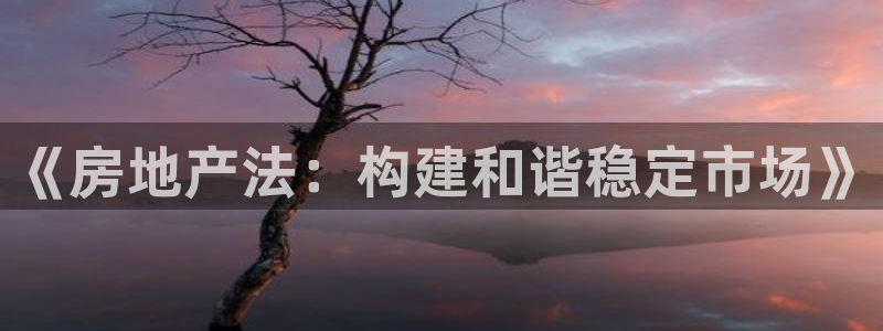 长江和记集团官网：《房地产法：构建和谐稳定市场》