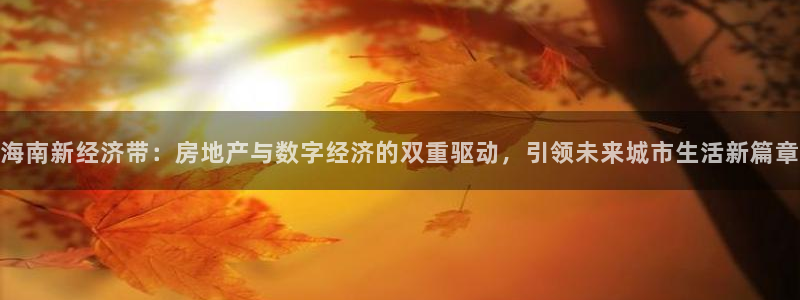 和记电讯three官网：海南新经济带：房地产与数字经济的双重