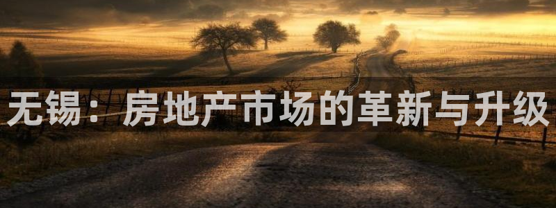 长江和记有限公司官网：无锡：房地产市场的革新与升级