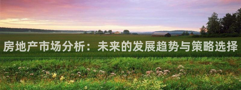 h88和记官网登录：房地产市场分析：未来的发展趋势与策略选择