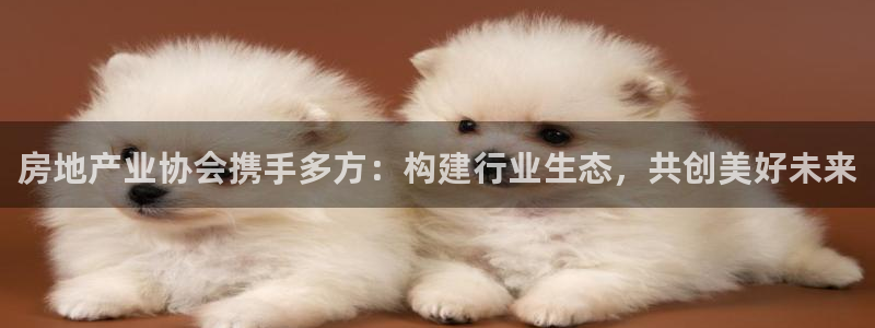 和记h88永久官网：房地产业协会携手多方：构建行业生态，共创