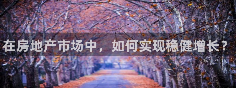 和记娱乐唯一官网：在房地产市场中，如何实现稳健增长？
