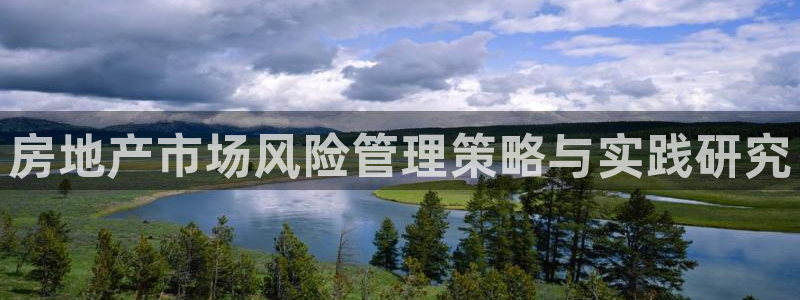 成都和记公司官网：房地产市场风险管理策略与实践研究