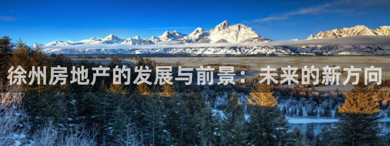 长江和记有限公司 官网：徐州房地产的发展与前景：未来的新方向