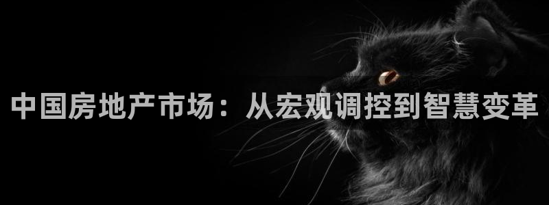 和记娱技精h88285官网：中国房地产市场：从宏观调控到智慧