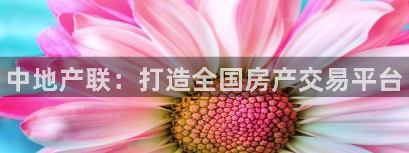 和记官网手机：中地产联：打造全国房产交易平台