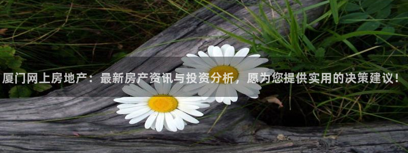 和记港口信托官网