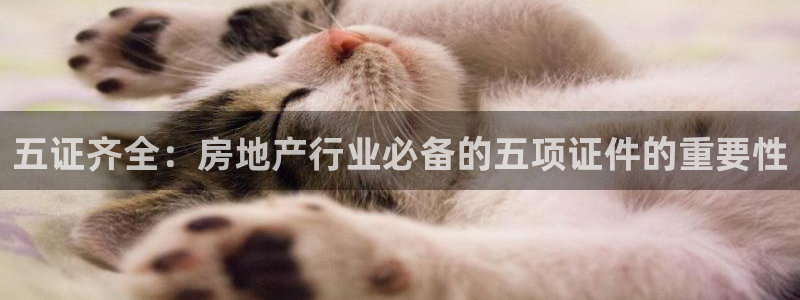和记官网手机版：五证齐全：房地产行业必备的五项证件的重要性