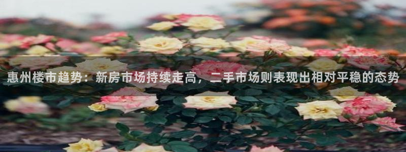 和记奥普泰 官网：惠州楼市趋势：新房市场持续走高，二手市场则