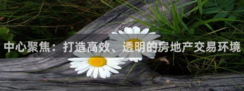 和记平台网站官网