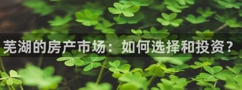 和记h88官网