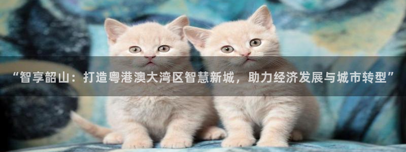 香港和记卡官网