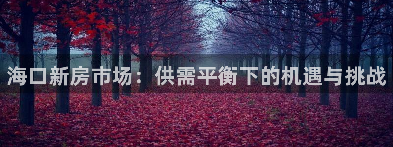 和记黄埔官网教育：海口新房市场：供需平衡下的机遇与挑战