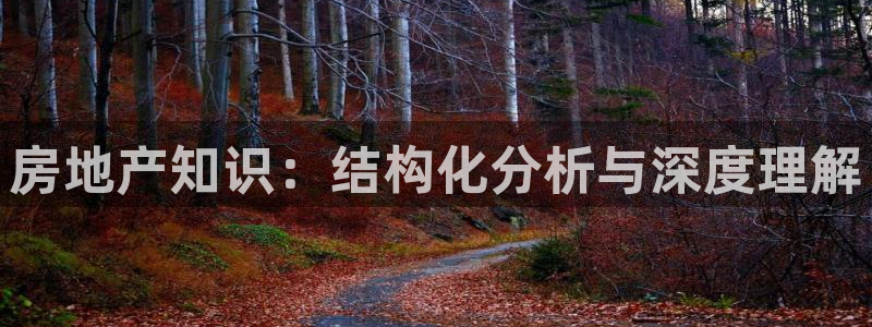 香港和记集团官网：房地产知识：结构化分析与深度理解