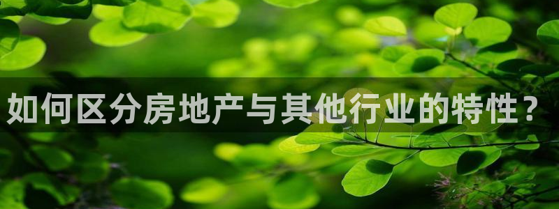 和记怡情h88官网中文版：如何区分房地产与其他行业的特性？
