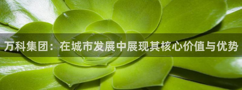 和记娱乐h8官网