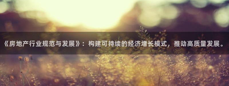 广州和德记官网：《房地产行业规范与发展》：构建可持续的经济增