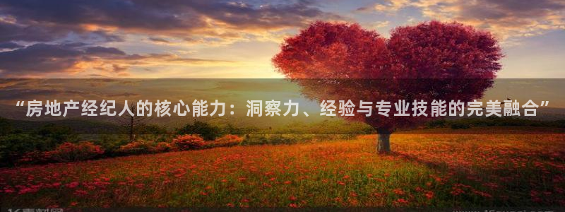 和记国际平台官网：“房地产经纪人的核心能力：洞察力、经验与专