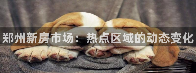 和记餐厅官网：郑州新房市场：热点区域的动态变化