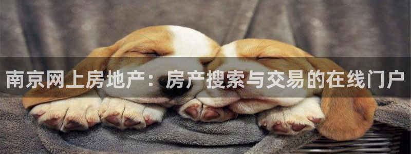 和记官网手机：南京网上房地产：房产搜索与交易的在线门户